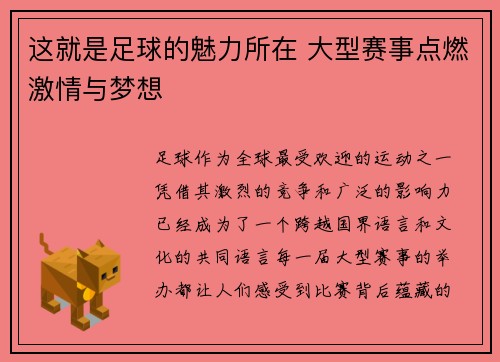 这就是足球的魅力所在 大型赛事点燃激情与梦想